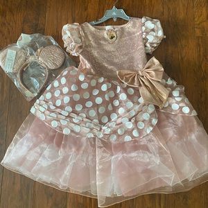 Rose Gold Minnie Mouse dress and ears